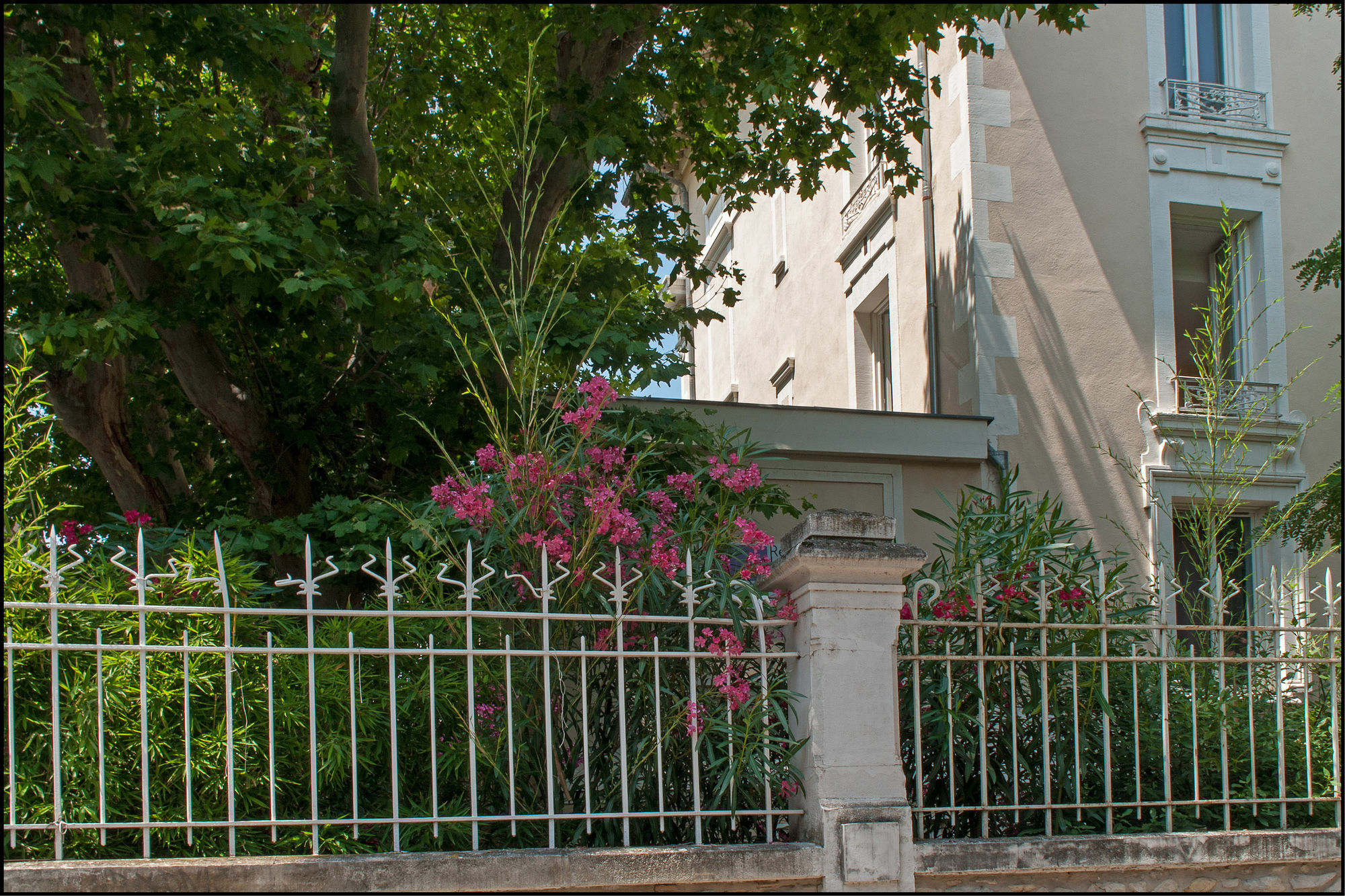 Residence Les Cordeliers Αβινιόν Εξωτερικό φωτογραφία